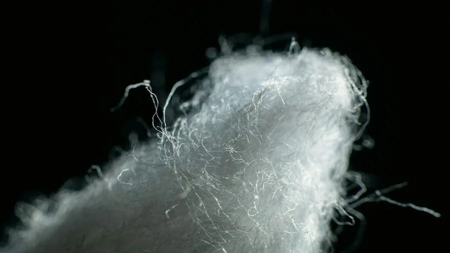 Cotton Pads and Composting: What Bathroom Shoppers Need to Know Before Tossing 2 100 percent cotton fibers closeup