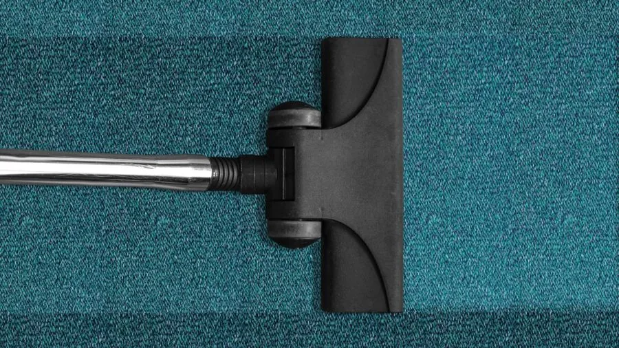 Bat Damage to Your Roof and Home: What Homeowners Should Know 3 attic cleanup protective equipment