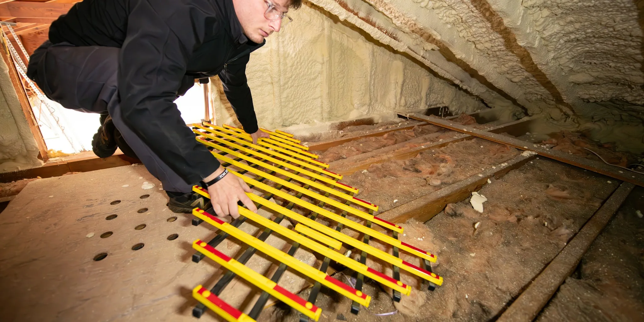 Bat Damage and Your Roof: What to Do Now