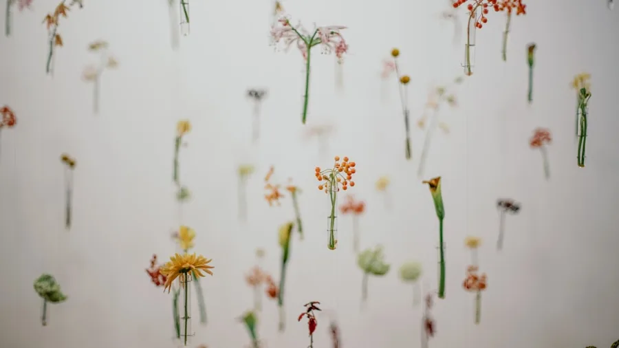 Kitchen Nook Design Transformation: What Shoppers Should Know About Creating Space Without Major Renovation 3 botanical wallpaper floral design