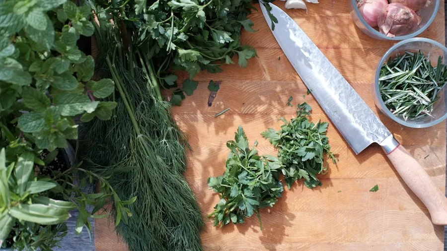 Tupperware SuperSonic Chopper Compact Gains Upgrades: What Kitchen Shoppers Should Know 2 chopped herbs garlic ingredients