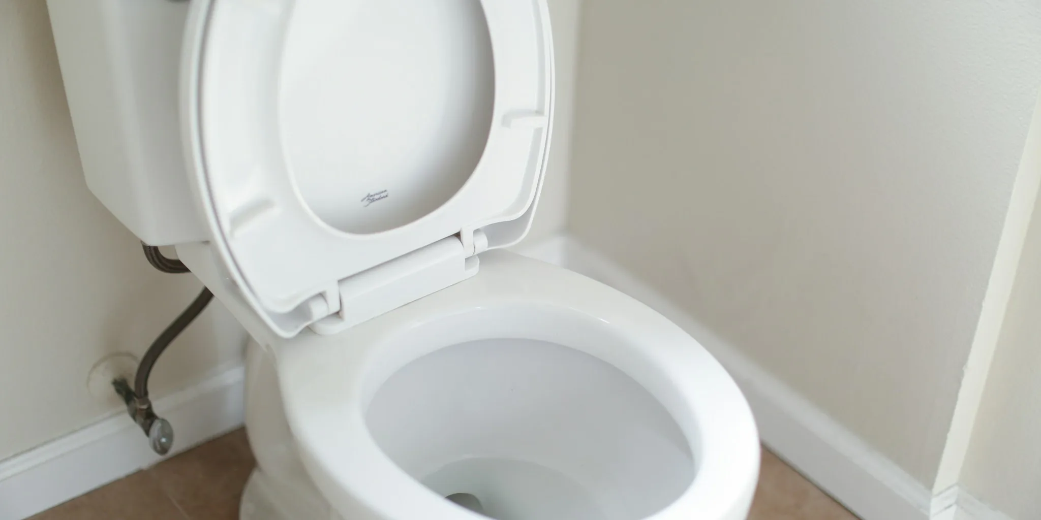 Toilet Cleaning Neglect: Health Risks and Solutions
