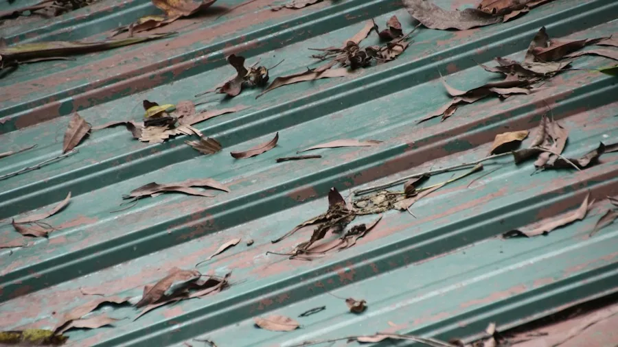 Roof Damage From Frost: What Homeowners Should Know Before Winter Arrives 2 clogged gutter leaves debris roof