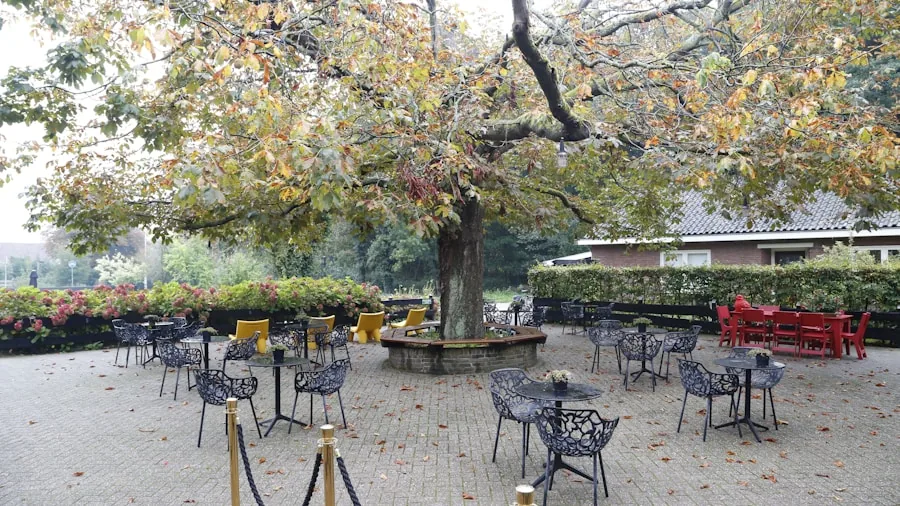 fall patio dining ambiance