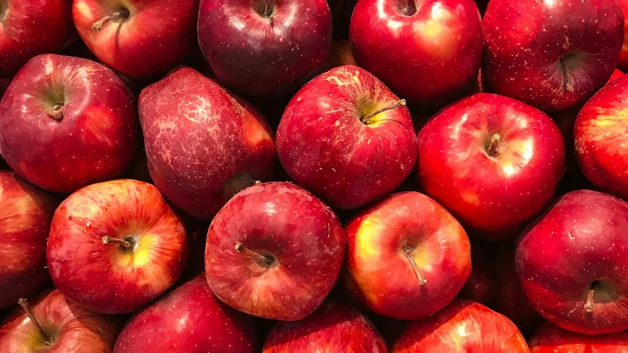 fresh apples mixed varieties