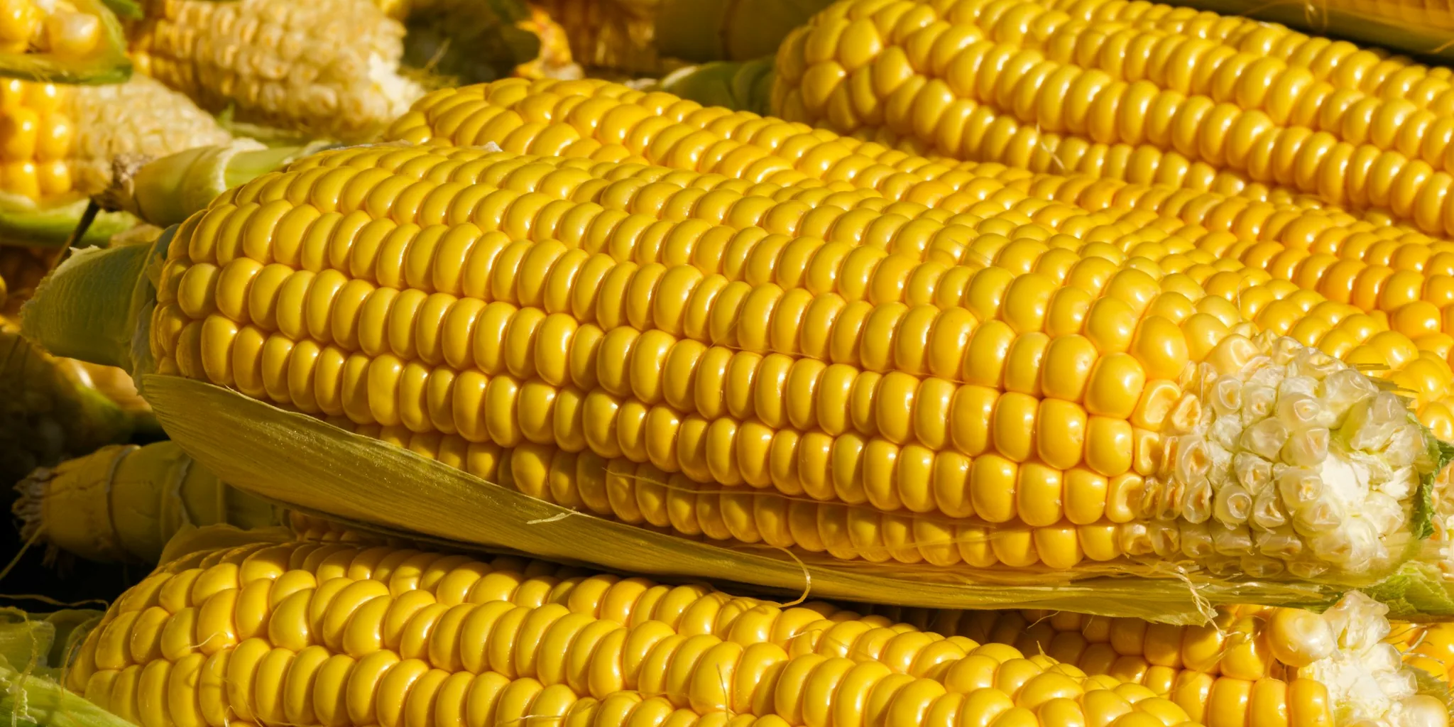 Viral Corn Trick Cuts Kitchen Prep Time to 2 Minutes