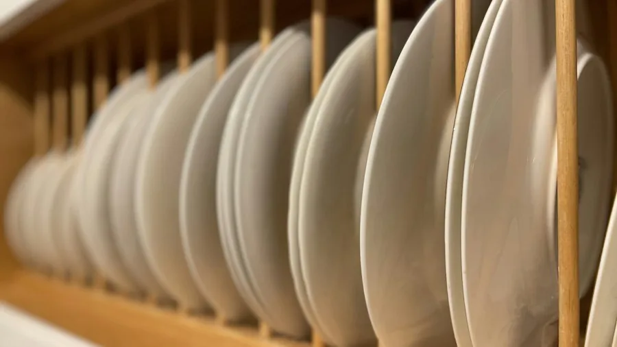 Overnight Dishes in Your Dishwasher: What Experts Say and What It Means for Shoppers 2 half-full dishwasher with plates