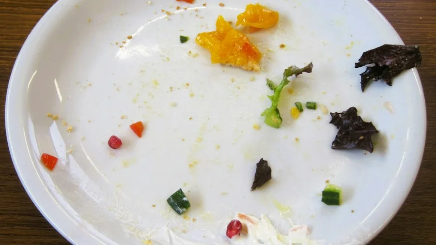 Overnight Dishes in Your Dishwasher: What Experts Say and What It Means for Shoppers 3 hand scraping food from dirty plate