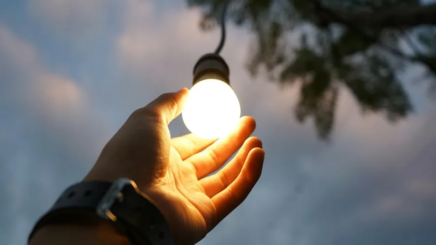 7 Ways to Connect Philips Hue Lights With Your IKEA Smart Home Devices 2 hands holding smart light bulb
