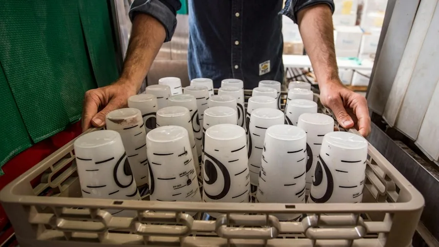 What Plumbers Recommend: The Best Dishwasher Detergents for Spotless Dishes 3 hands loading glasses in dishwasher