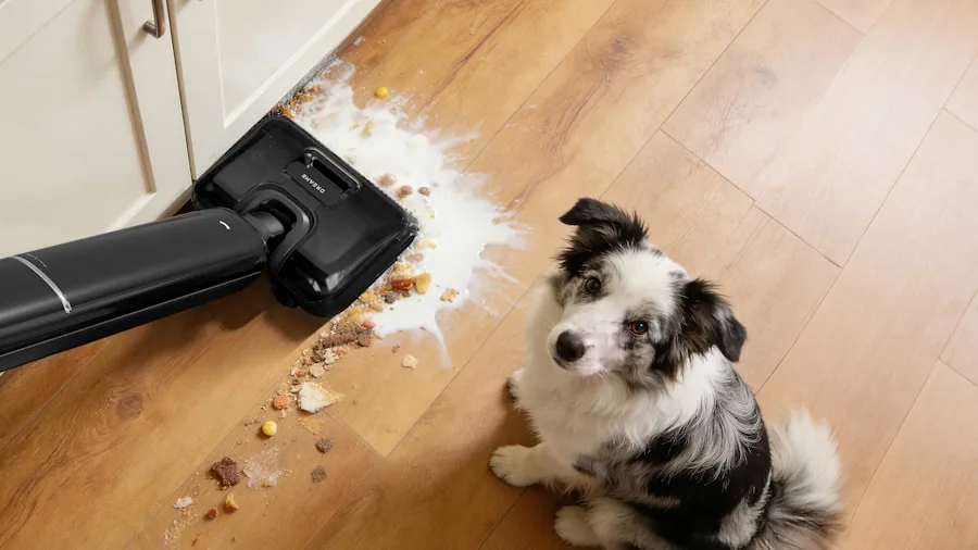 iRobot Roomba Max 875 Combo Launches with Carpet Sealing Technology: What Shoppers Need to Know 2 hardwood floor kitchen spill cleanup