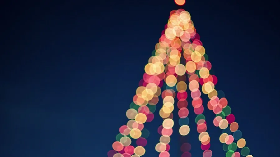 holiday tree lighting installation technique