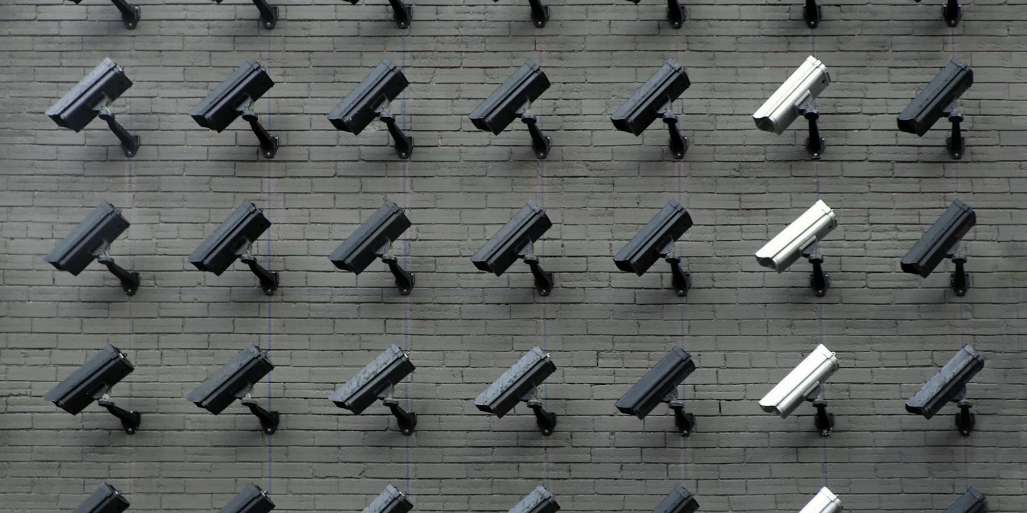 TP-Link Security Cameras Have Critical Flaws: What Shoppers Need to Know Right Now