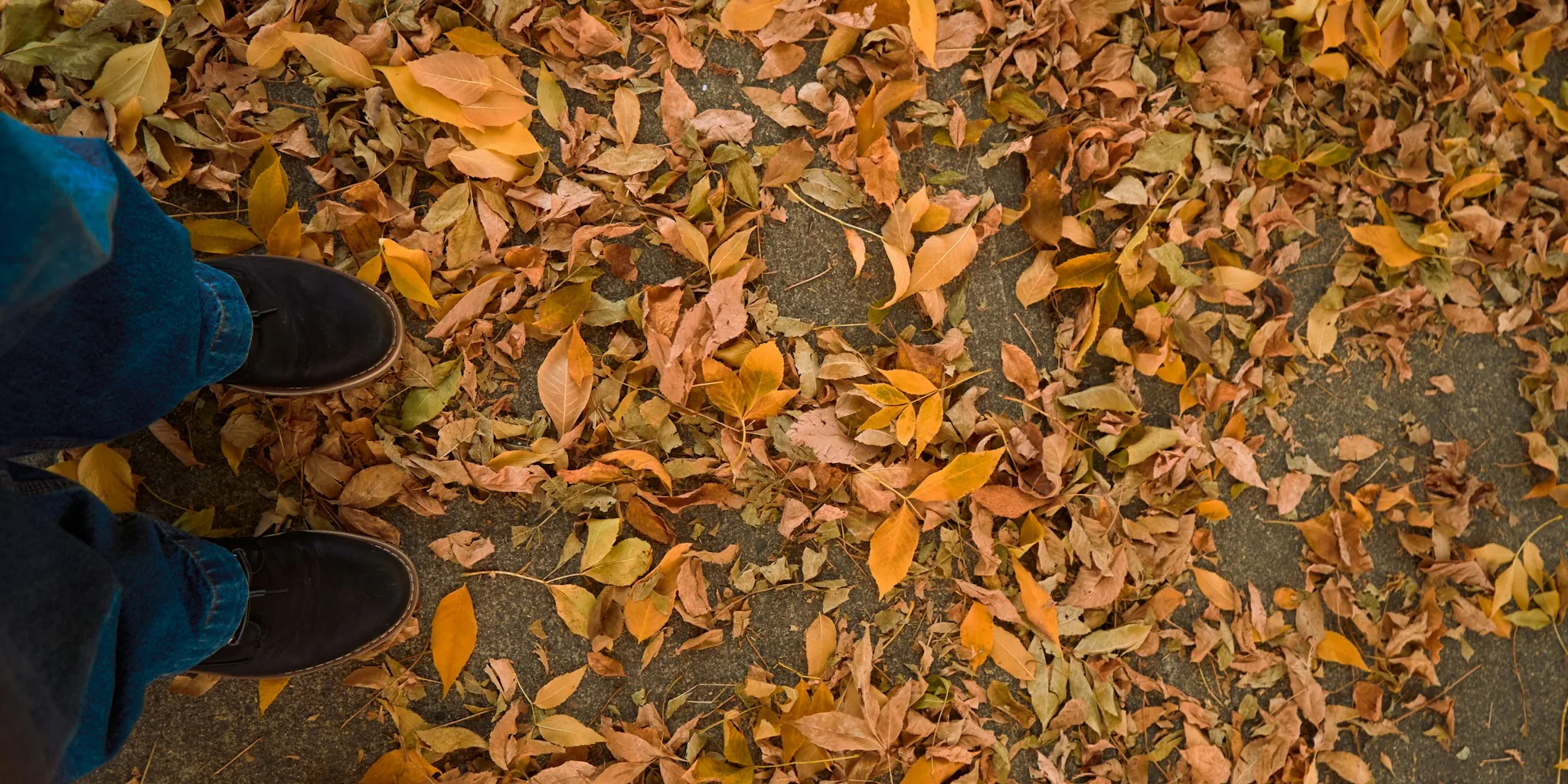 Roof Frost Damage: Pre-Winter Inspection Checklist