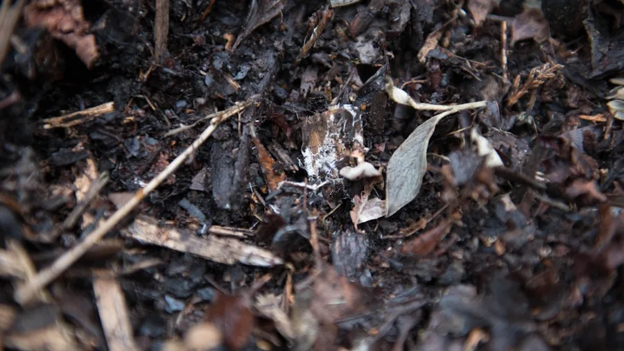 Worn Bathroom Towels Now Belong in Your Compost Bin: What Shoppers Should Know 2 layering compost materials brown green