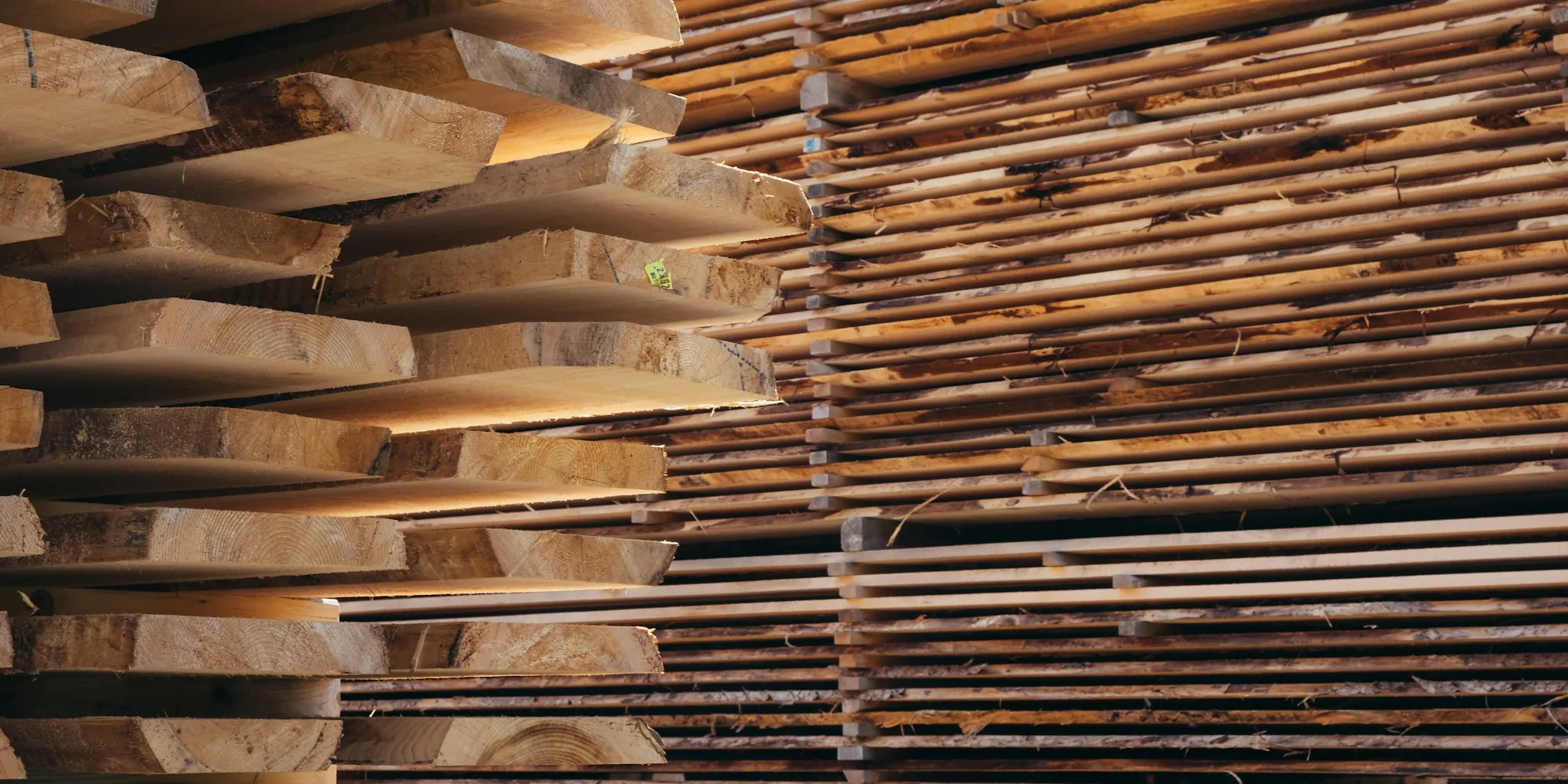 Lumber Stamps Explained: What Buyers Should Know Before Your Next Purchase