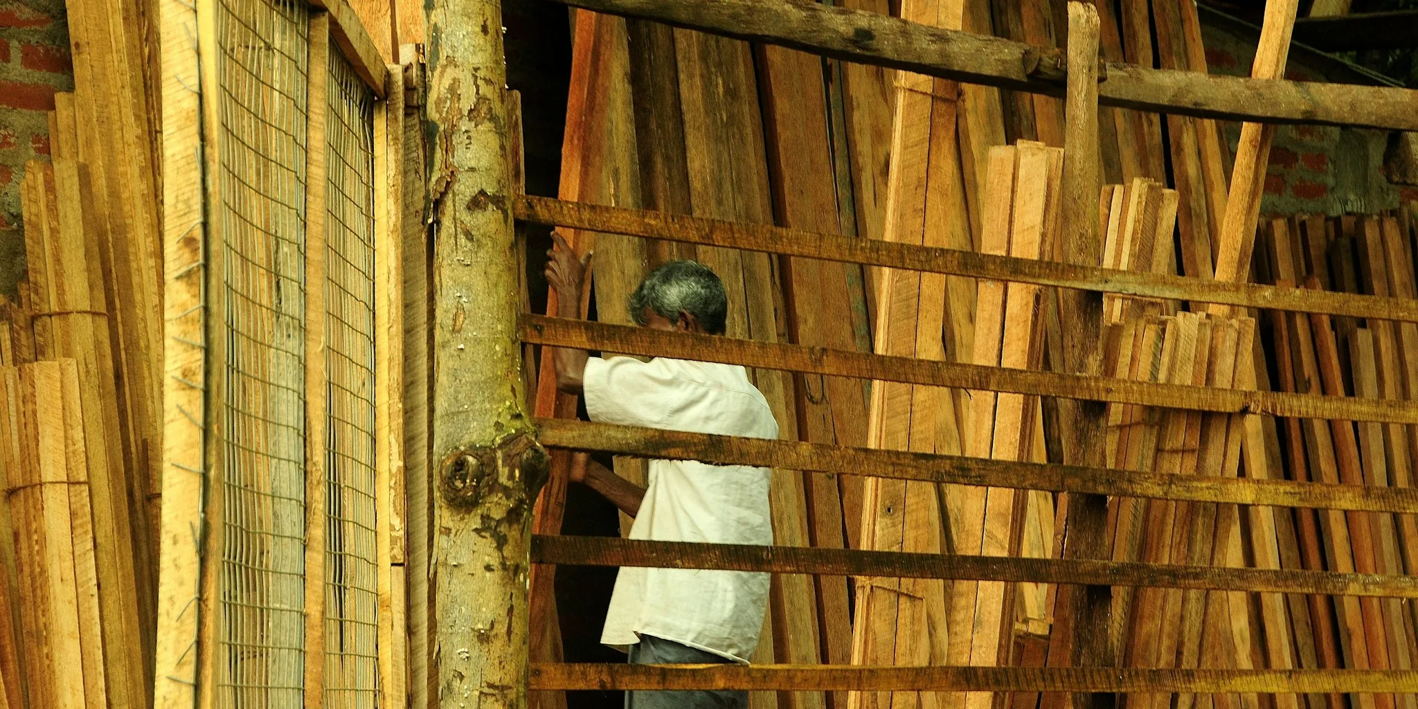 Colored Paint on Lumber Ends: What Shoppers Need to Know Before Buying