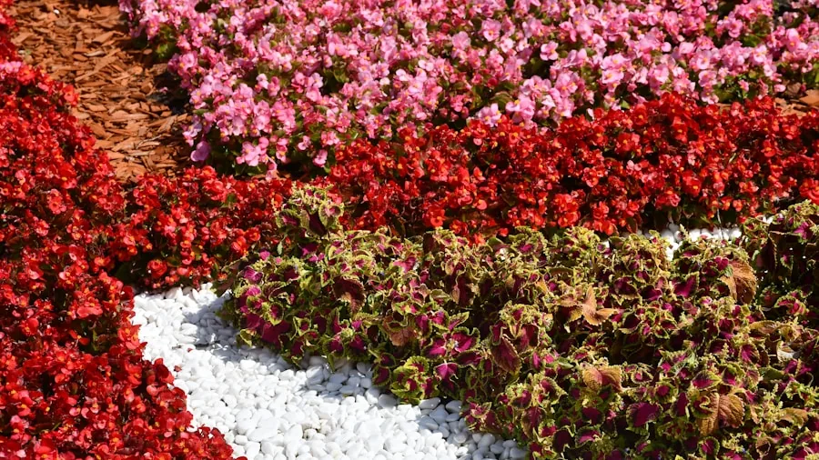 Old Shower Curtains Make Excellent Weed Barriers: What Shoppers Should Know 2 mulch gravel garden bed