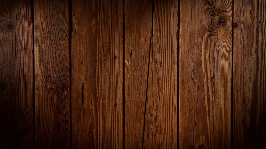 DeWalt Announces Five New Carpentry Tools for 2026 What Shoppers Should Know 3 orbital sander smoothing wooden surface