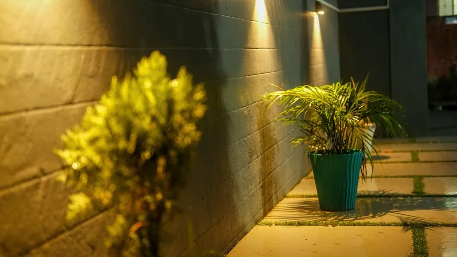 Solar Patio Lights Hit Amazon: What Buyers Should Know Before Purchasing 3 potted plants outdoor lighting setup