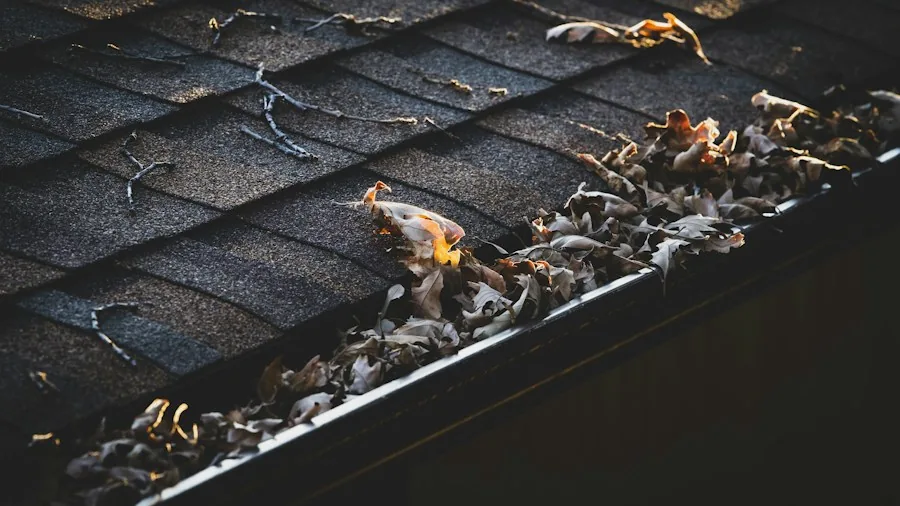 7 Tips to Maintain Your Roof and Gutters Year Round 2 sagging gutter clogged debris