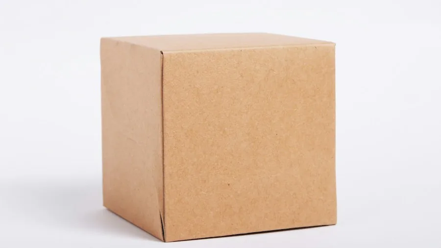 Craftsman Now Selling Direct Through Lowe's Marketplace What Shoppers Should Know 3 shipping delivery package box