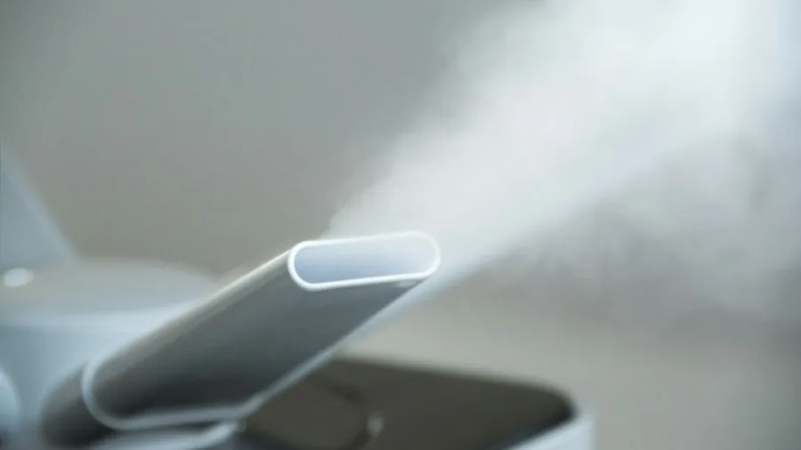 steam cleaning device in action
