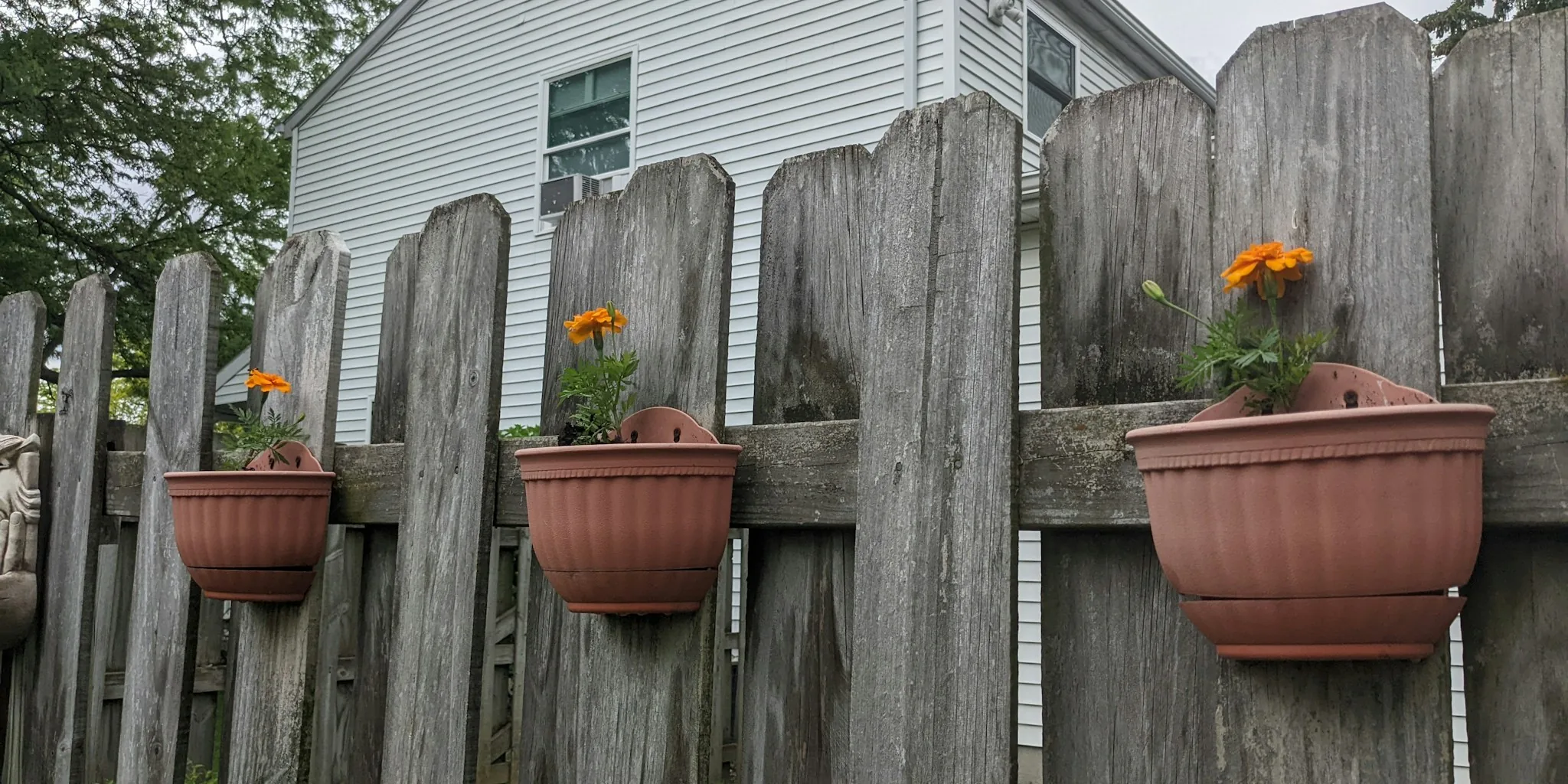 DIY Solar Pot Lights Transform Your Backyard: What Shoppers Need to Know