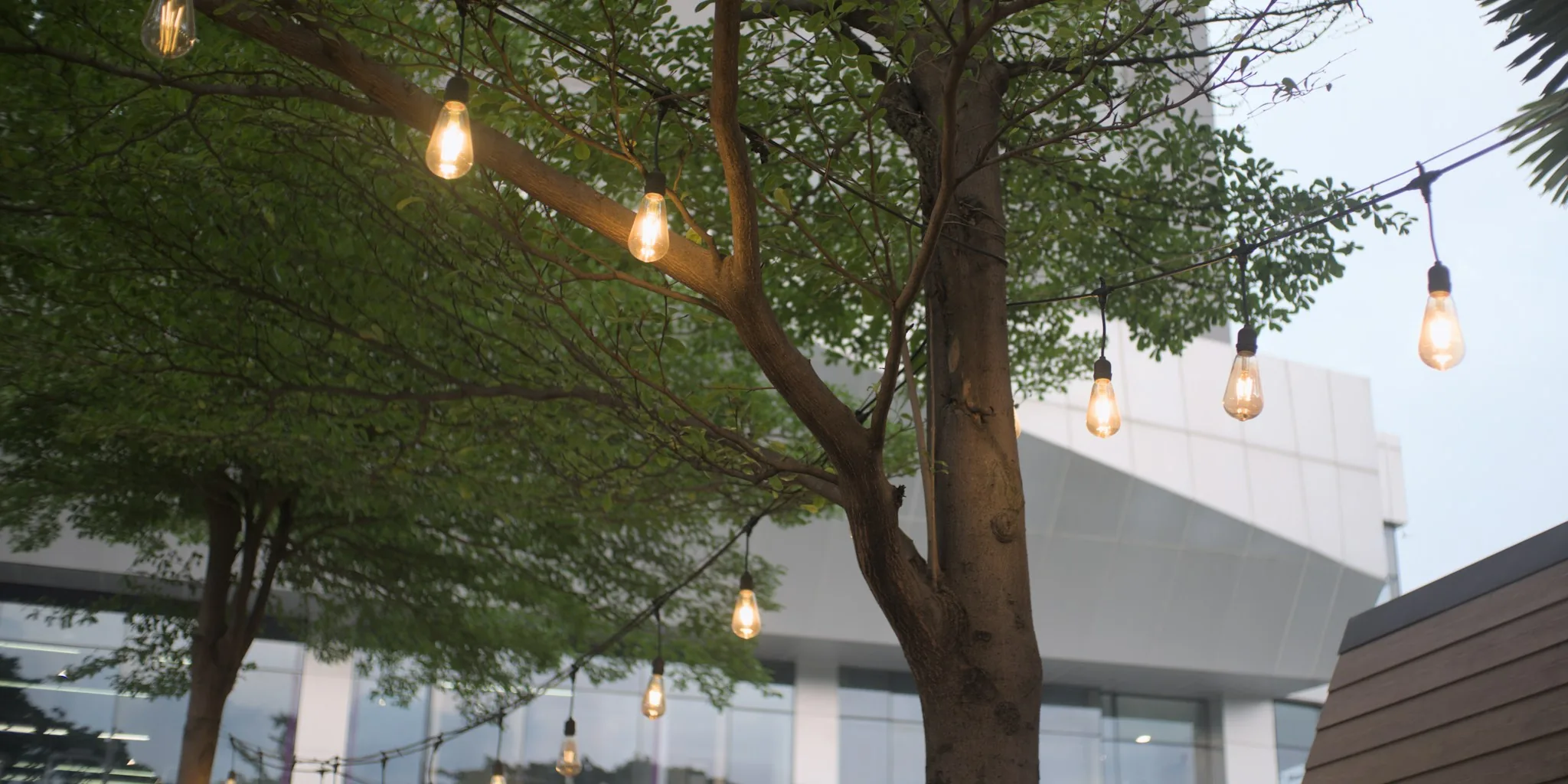 Fall Lighting Trend: Year Round Garden Glow