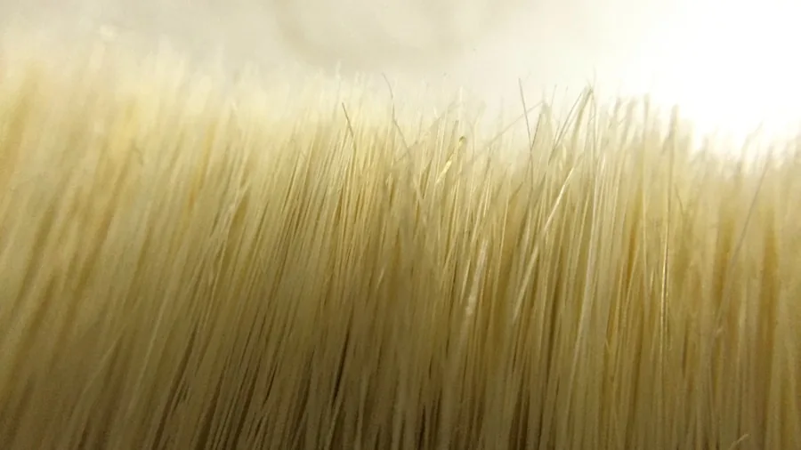 Washing Machine Damage to Delicate Items: What Shoppers Need to Know 2 wooden brush bristles close up